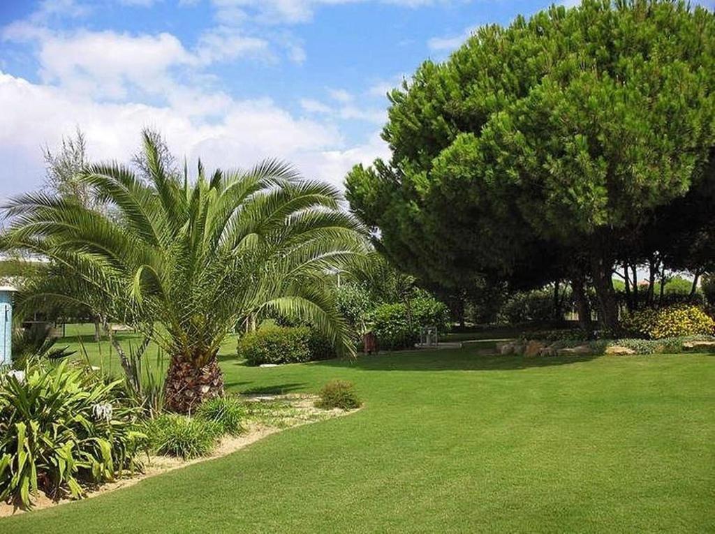 Sunny Apartment Al-Sakia, Quarteira, Vilamoura 객실 사진